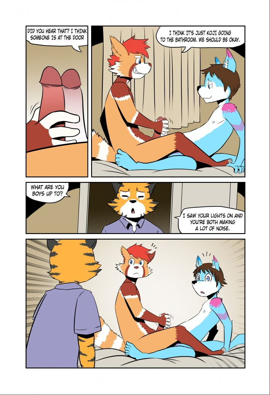 The Sleep Over